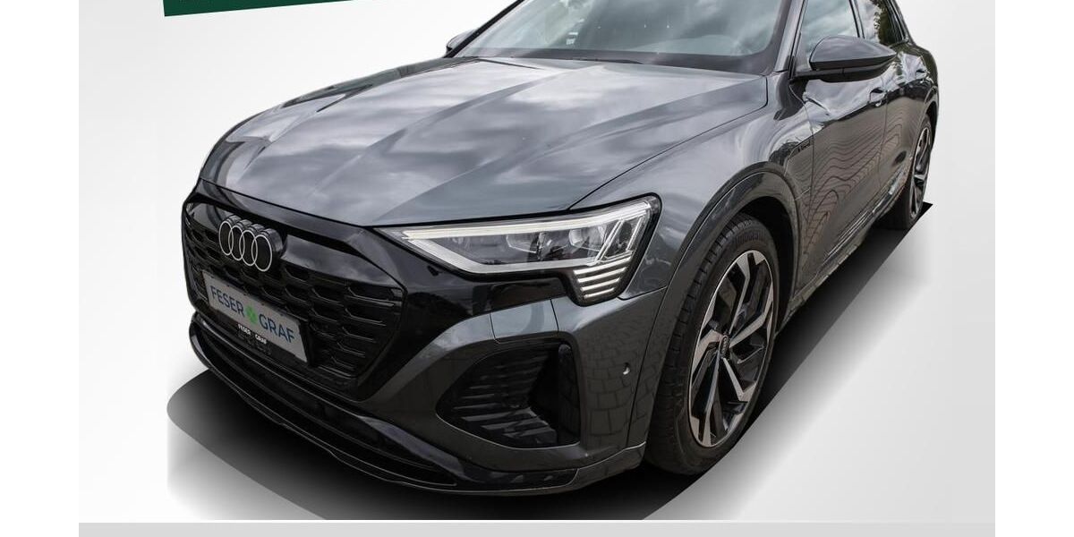 Audi Q8 e-tron 102.050 km 45.940 &euro; Herzogenaurach 91074