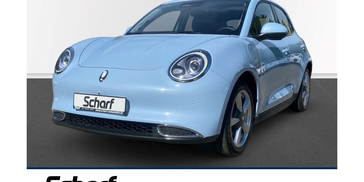 GWM Ora 03 28.998 km 16.590 &euro; Lauf 91207